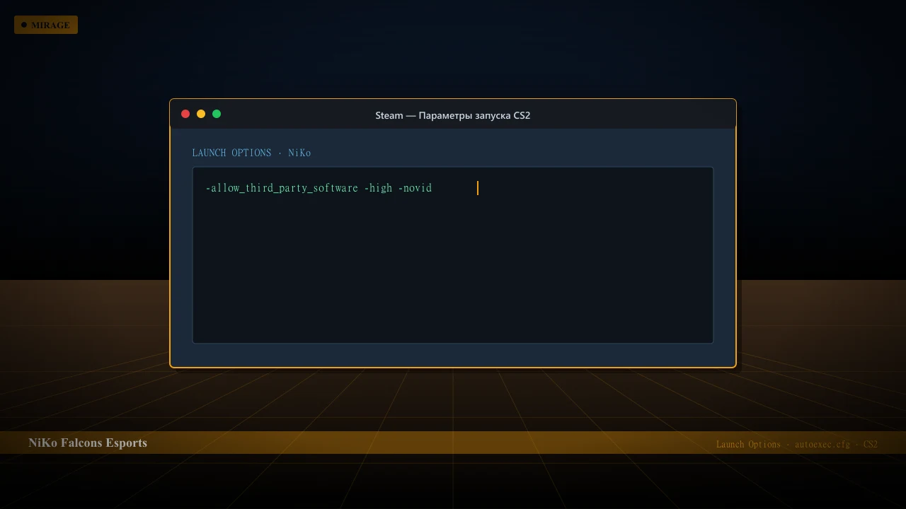 Конфиг NiKo в CS2 — launch options и autoexec.cfg
