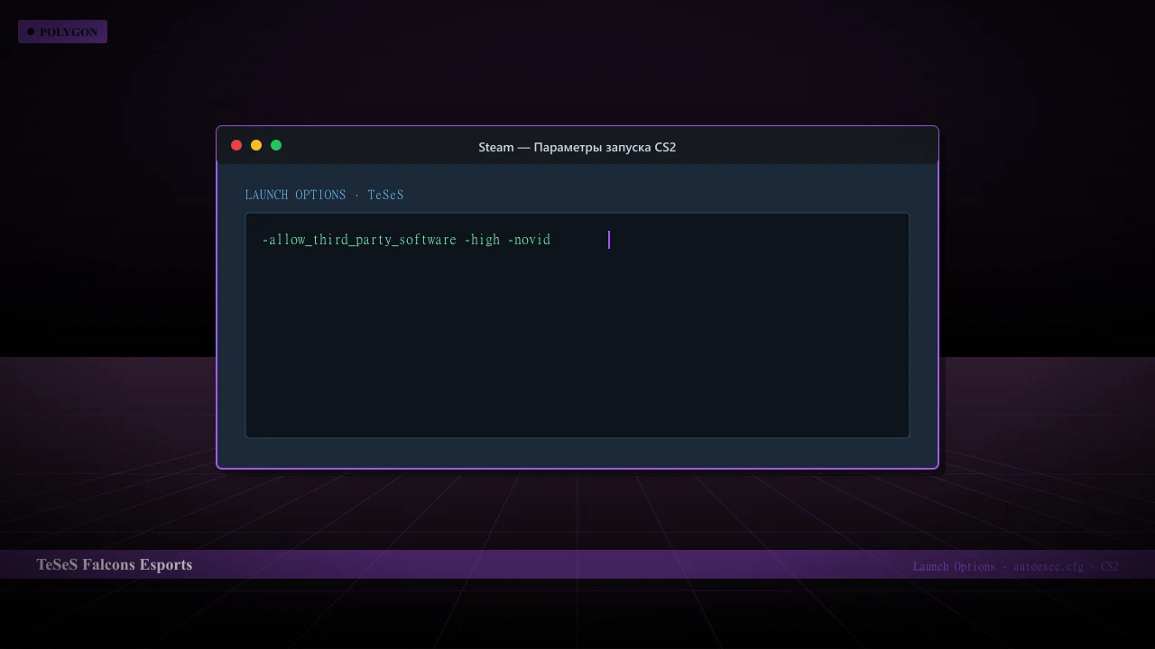 Конфиг TeSeS в CS2 — launch options и autoexec.cfg