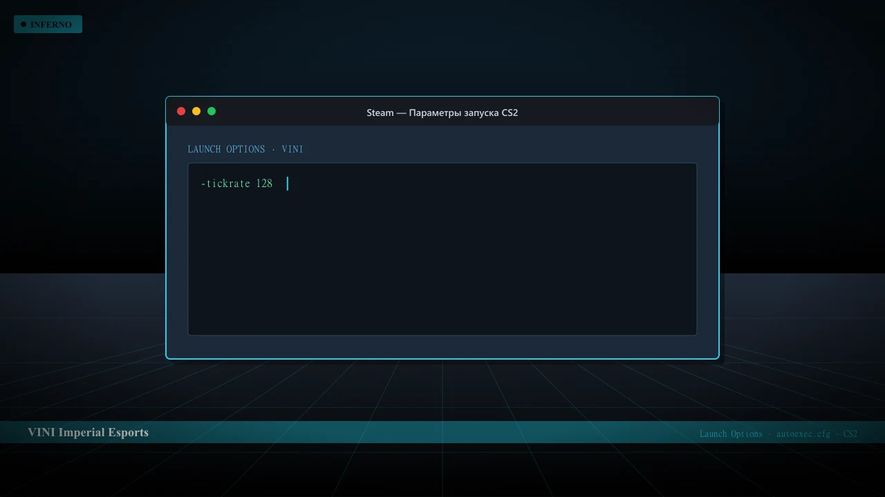 Конфиг VINI в CS2 — launch options и autoexec.cfg