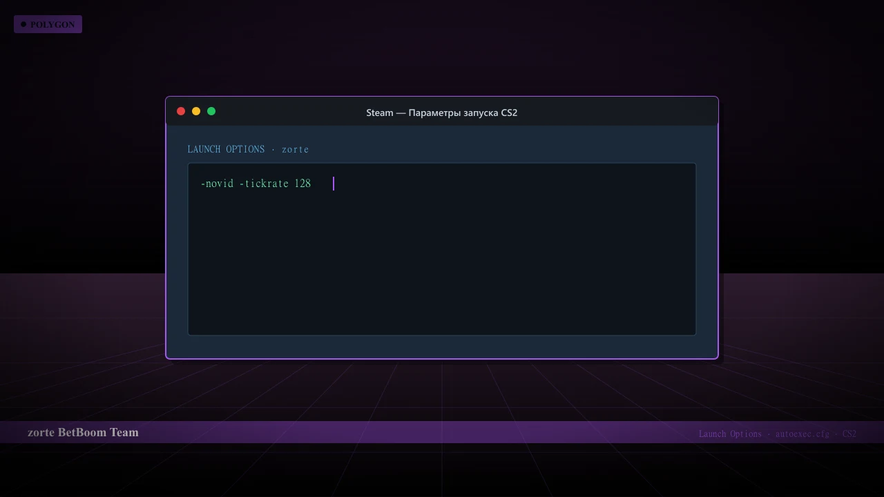 Конфиг zorte в CS2 — launch options и autoexec.cfg