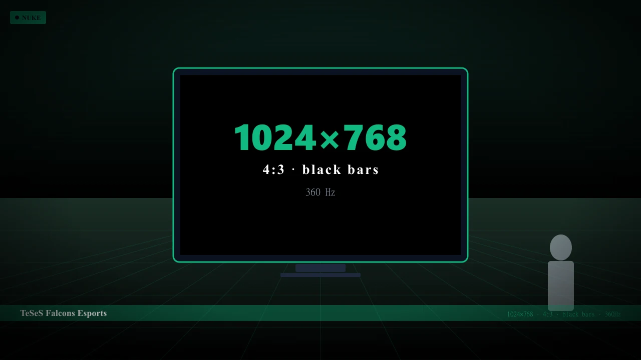 Видеонастройки TeSeS в CS2 — 1024x768 4:3 black bars