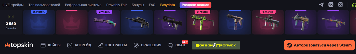 TopSKin shapka