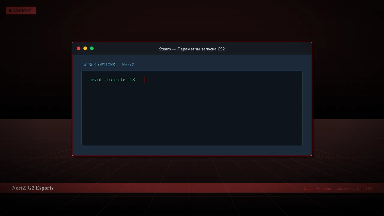 Конфиг NertZ в CS2 — launch options и autoexec.cfg